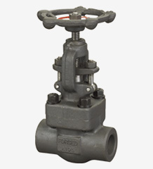 a forged steel industrial gate valve