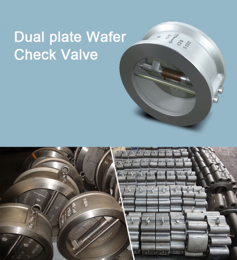 Dual plate Wafer check valve
