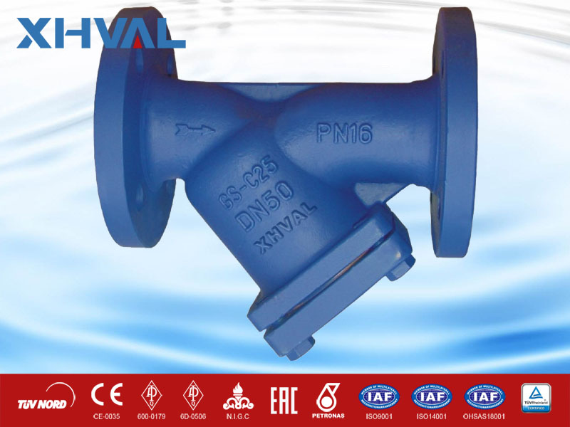 Y Type Strainer