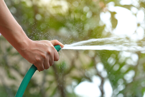 Farmer watering plant green garden