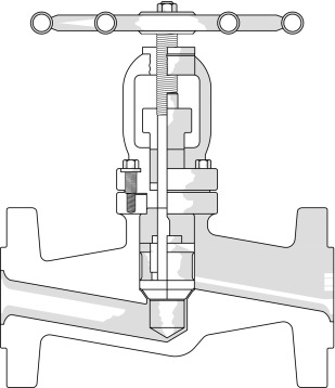 Diagram of a globe valve