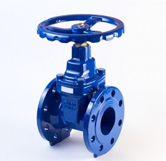 Industrial pipeline wedge gate valve with rubber wedge on a white background