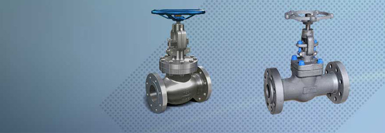 globe valve