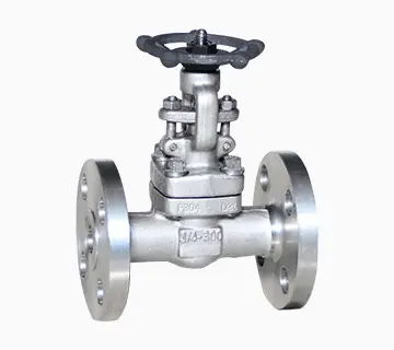 Gate Valves