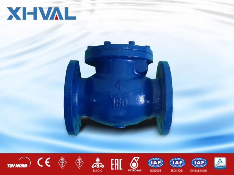 xhval CI check valve ANSI
