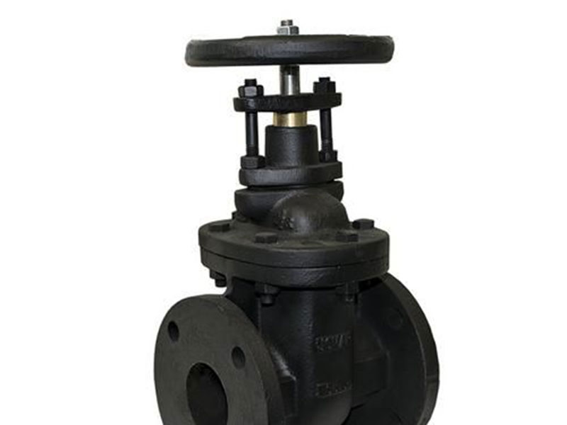 Cast iron gate valve