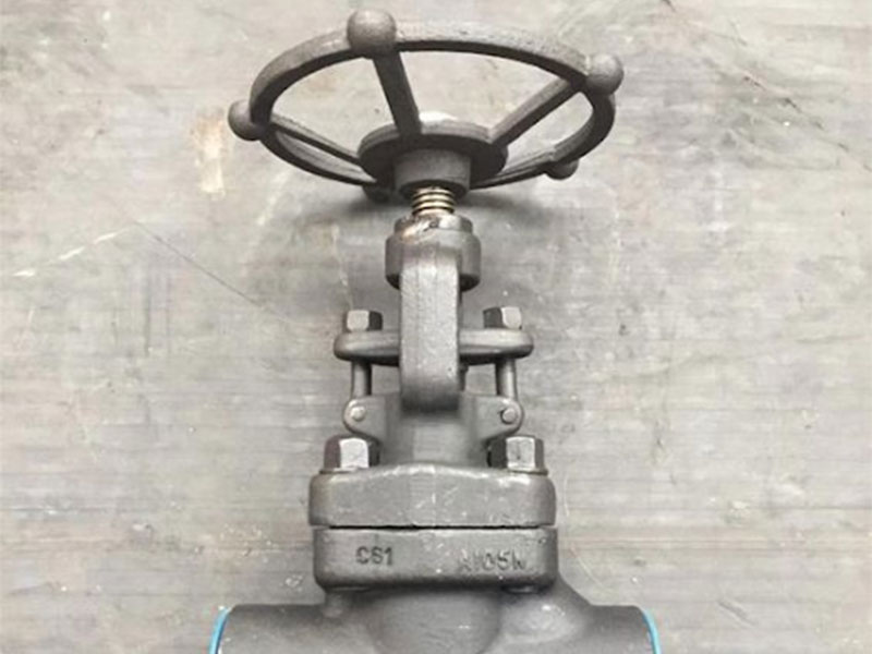 forged-steel-globe-valve